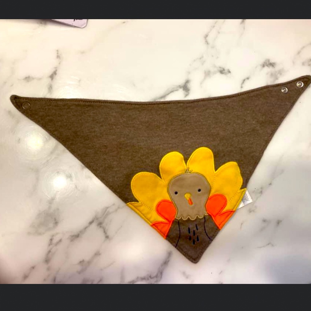 Thanksgiving Bib